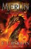 Book cover for "The fires of Merlin".
