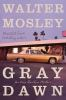 Book cover for "Gray Dawn: An Easy Rawlins Mystery".