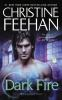 Book cover for "Dark fire".
