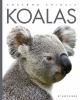 Book cover for "Koalas".