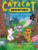 Book cover for "Cat & cat adventures".