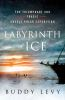 Book cover for "Labyrinth of ice"