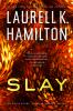 Book cover for "Slay".