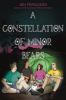 Book cover for "A constellation of minor bears"