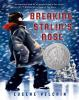 Book cover for "Breaking Stalin's nose"