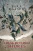 Book cover for "These divided shores".
