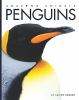 Book cover for "Penguins".