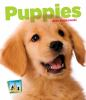 Book cover for "Puppies"