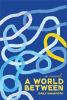 Book cover for "A world between"