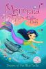 Book cover for "Dream of the blue turtle".