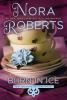 Book cover for "Born in ice"