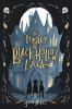 Book cover for "The mystery of Black Hollow Lane"