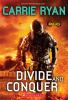 Book cover for "Divide and conquer".