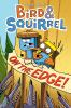Book cover for "Bird & Squirrel on the edge!".