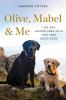 Book cover for "Olive, Mabel & me"