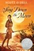 Book cover for "Sing down the moon"