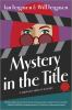 Book cover for "Mystery in the Title (Original)".