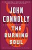 Book cover for "The burning soul".