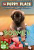 Book cover for "Boomer".