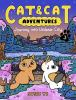 Book cover for "Cat & Cat adventures".