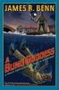 Book cover for "A blind goddess".