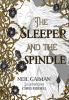 Book cover for "The sleeper and the spindle"