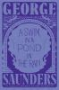 Book cover for "A swim in a pond in the rain"