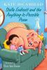 Book cover for "Stella Endicott and the anything-is-possible poem".