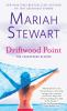 Book cover for "Driftwood Point".