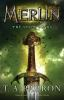 Book cover for "The seven songs of Merlin".