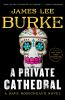 Book cover for "A private cathedral".