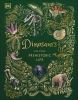 Book cover for "Dinosaurs and other prehistoric life"