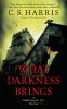 Book cover for "What darkness brings".