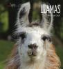 Book cover for "Llamas".