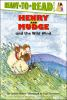 Book cover for "Henry and Mudge and the wild wind".