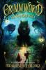 Book cover for "The big bad wolf".