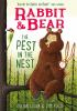 Book cover for "Rabbit & Bear".
