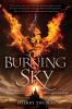 Book cover for "The burning sky".