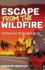 Book cover for "Escape from the wildfire"