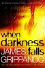 Book cover for "When darkness falls".