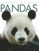 Book cover for "Pandas".