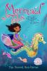 Book cover for "The secret sea horse".