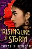 Book cover for "Rising like a storm".