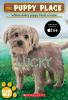 Book cover for "Lucky".