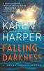 Book cover for "Falling darkness".