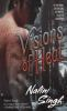 Book cover for "Visions of heat".