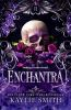 Book cover for "Enchantra".