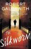 Book cover for "The Silkworm".