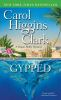 Book cover for "Gypped"