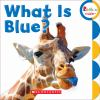 Book cover for "What is blue?".